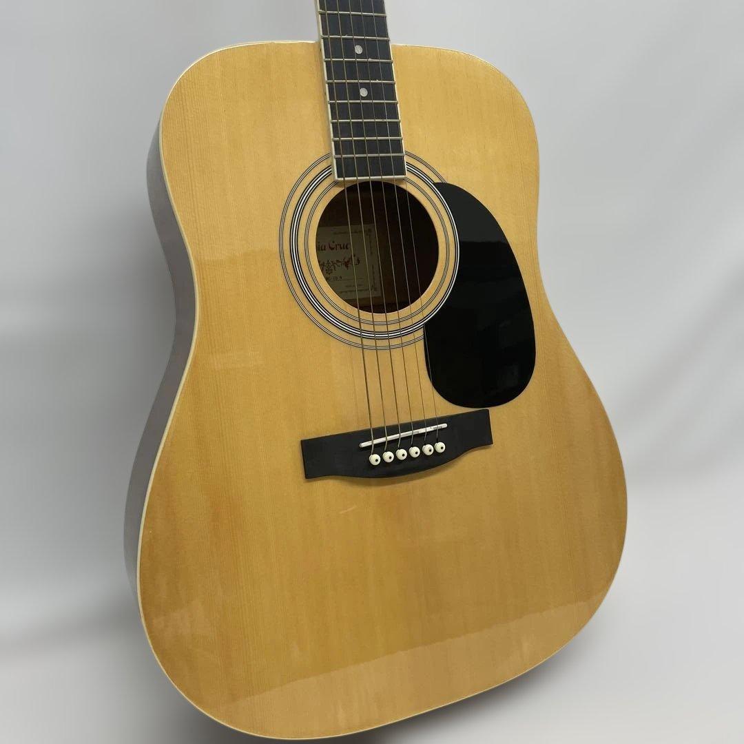 sepia crue アコースティックギター　WG-10 N