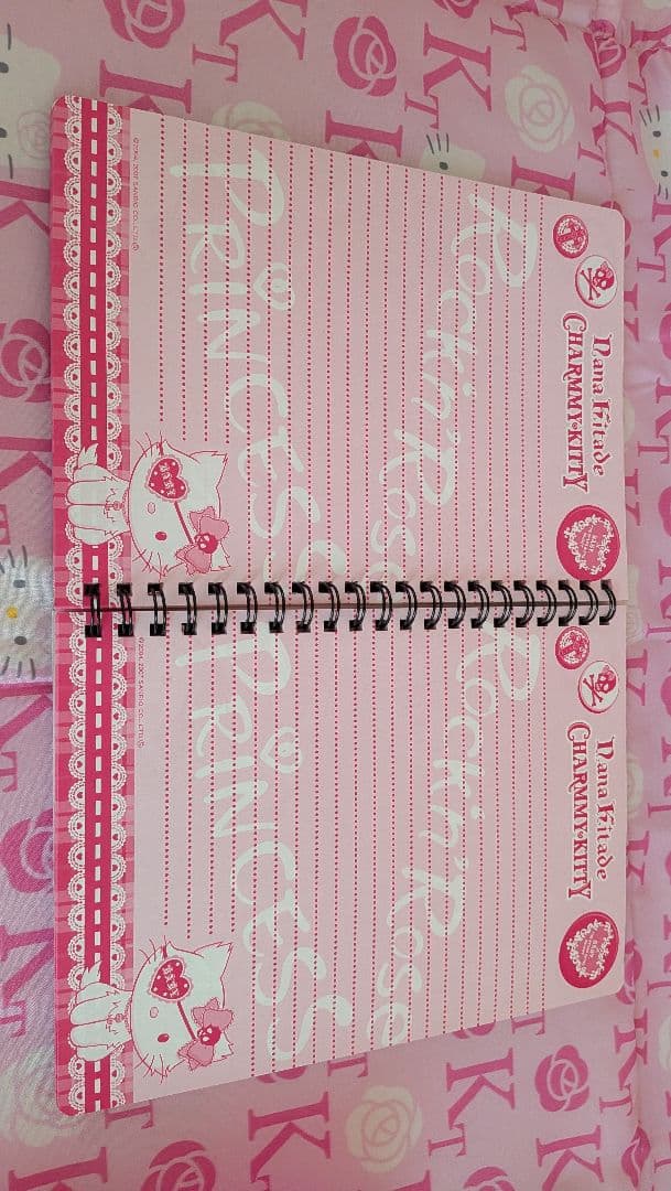 サンリオチャーミーキティセットまとめて リングノート　ファイル　タオル　ボックス