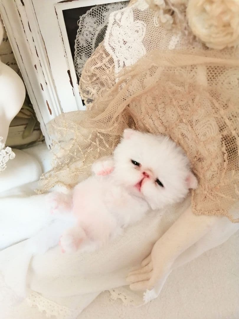 ネムネム～(´ω｀ )ちびちび子猫ちゃん♡アートドール♡ぬいぐるみ♡