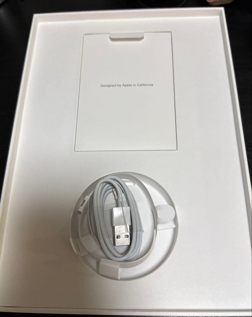 iPad air 第3世代　256GB wifiモデル　ドット抜けあり　ジャンク
