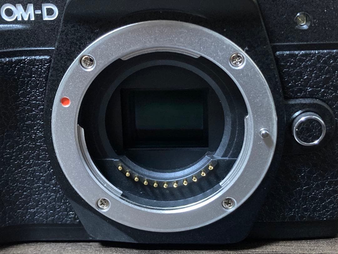 OLYMPUS E-M10 Mark III ダブルレンズセット