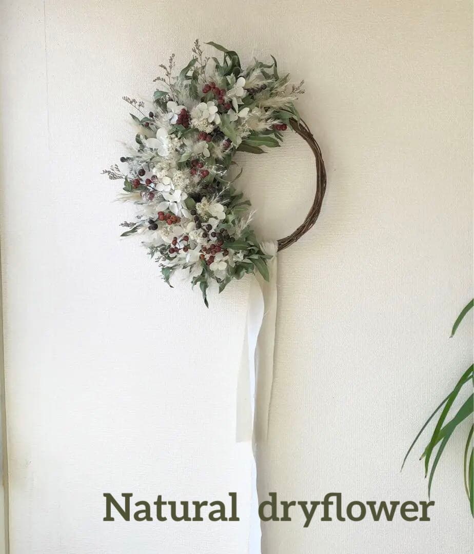 ＊Natural＊野薔薇の実とホワイトリース＊ドライフラワーリース