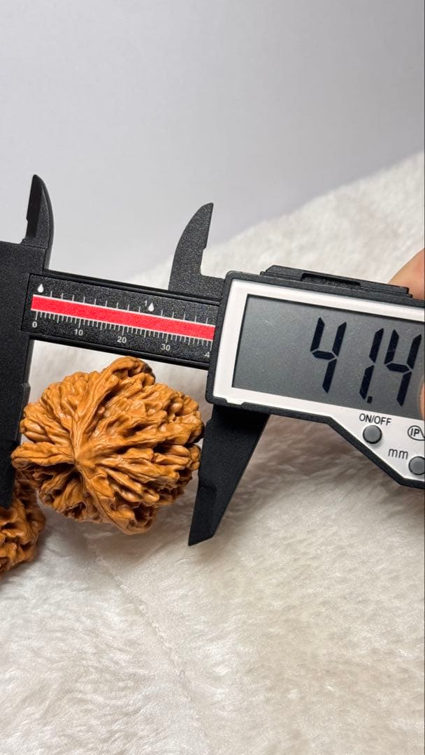 帝王三棱半壁➕南瓜三棱半壁（2点セット）