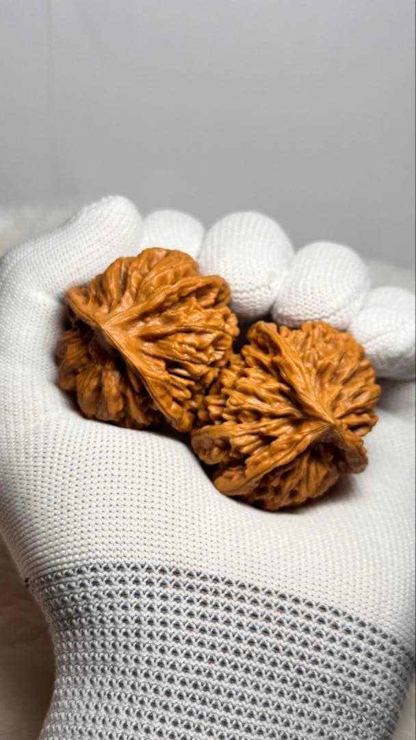 帝王三棱半壁➕南瓜三棱半壁（2点セット）