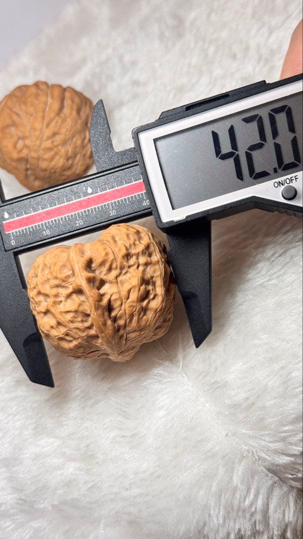 帝王三棱半壁➕南瓜三棱半壁（2点セット）