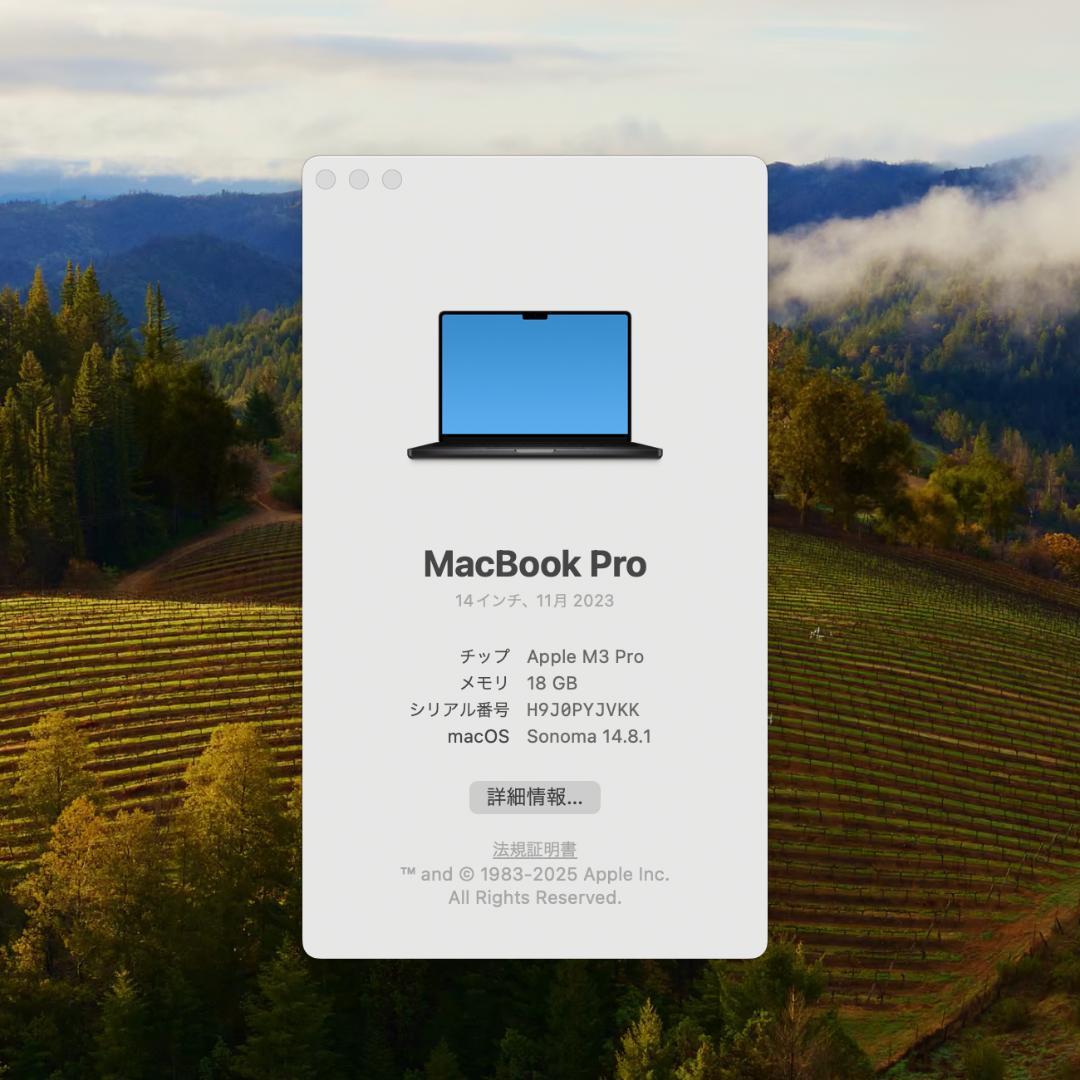 保証あり超美品 14インチMacBookPro 2023 M3Pro/18GB