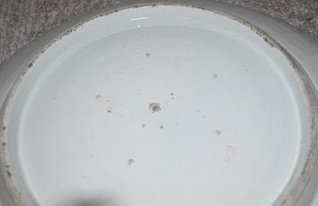 古伊万里・染付獅子に牡丹大皿