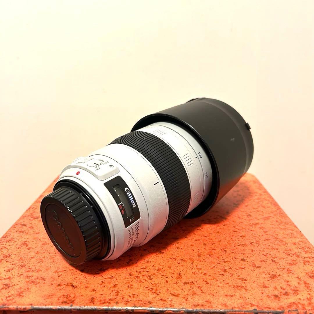 【れい】Canon EF100-400mmF4.5-5.6L IS II