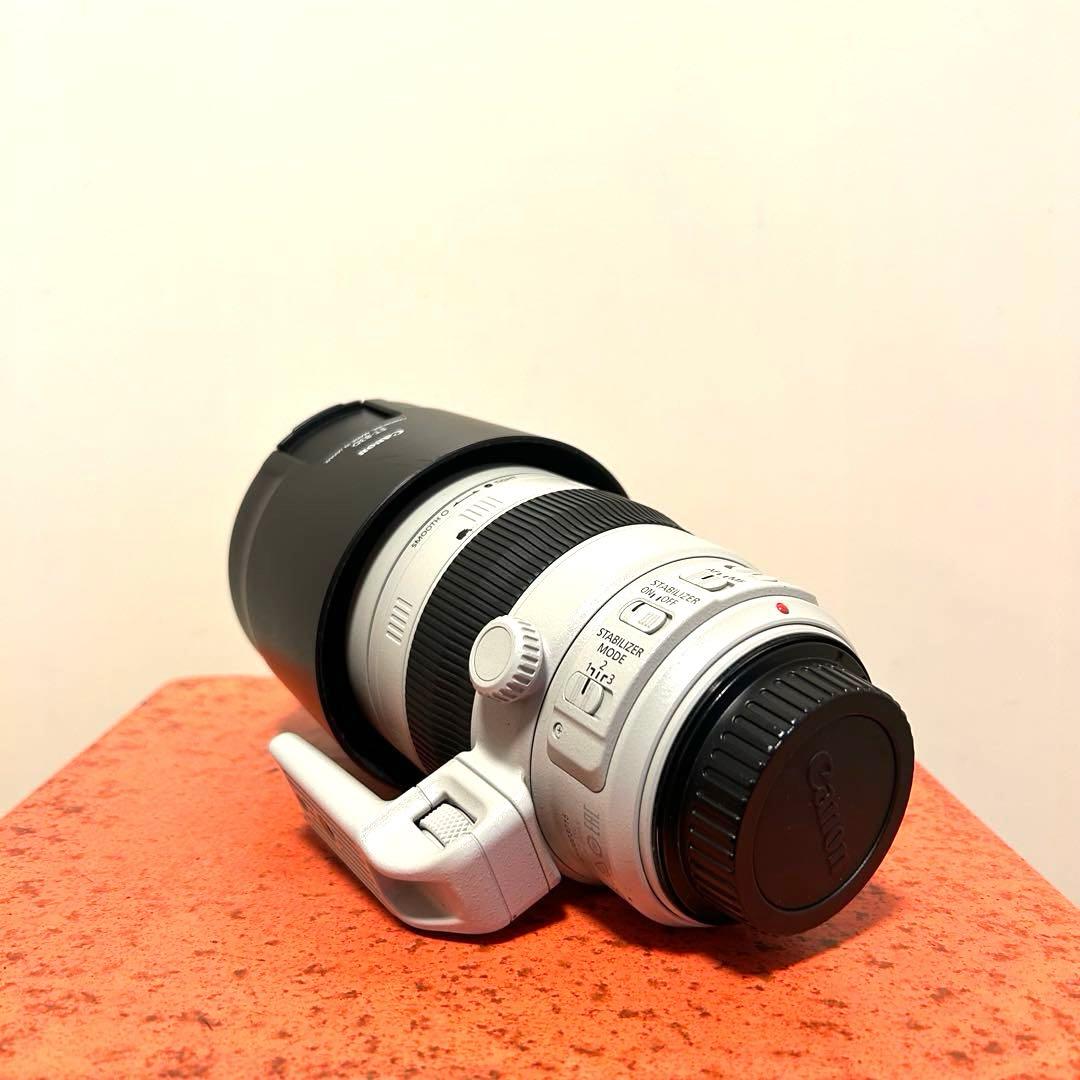 【れい】Canon EF100-400mmF4.5-5.6L IS II
