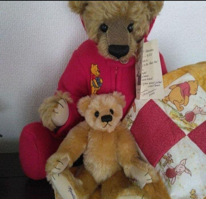 テディベア ロザリーフリッシュマン　ディズニープーさん着ぐるみ