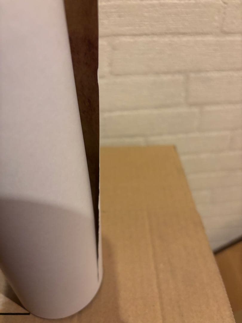 中古品　APPLEBUM Snoop Dogg ポスターA1 (25FW)