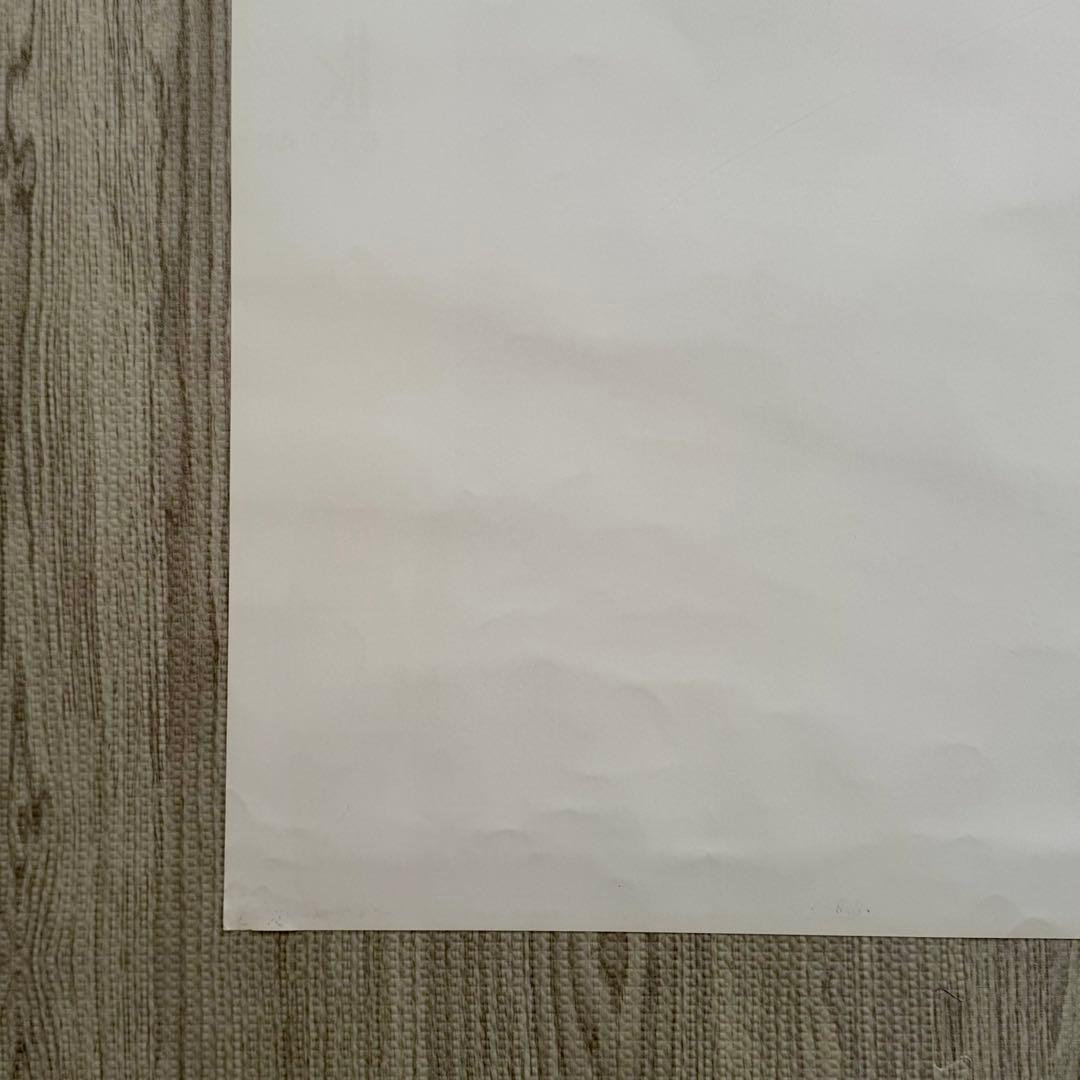 柴咲コウ ポスター B2サイズ