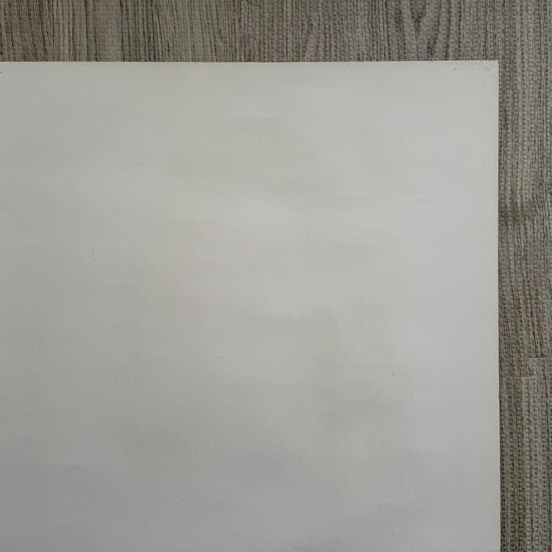 柴咲コウ ポスター B2サイズ