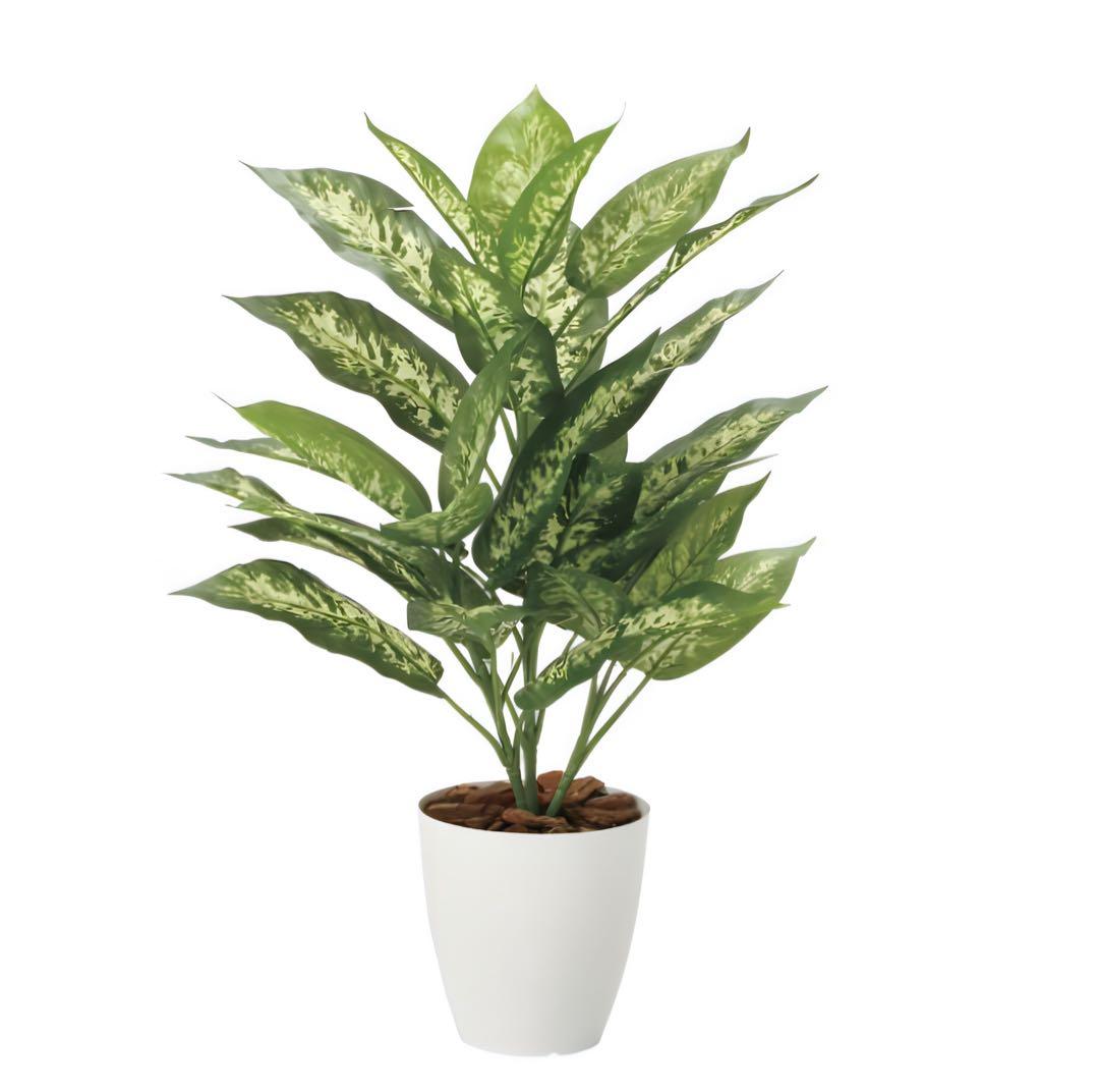 光触媒　人工観葉植物　ウォールグリーン　フェイクグリーン　ディフェンバキアM