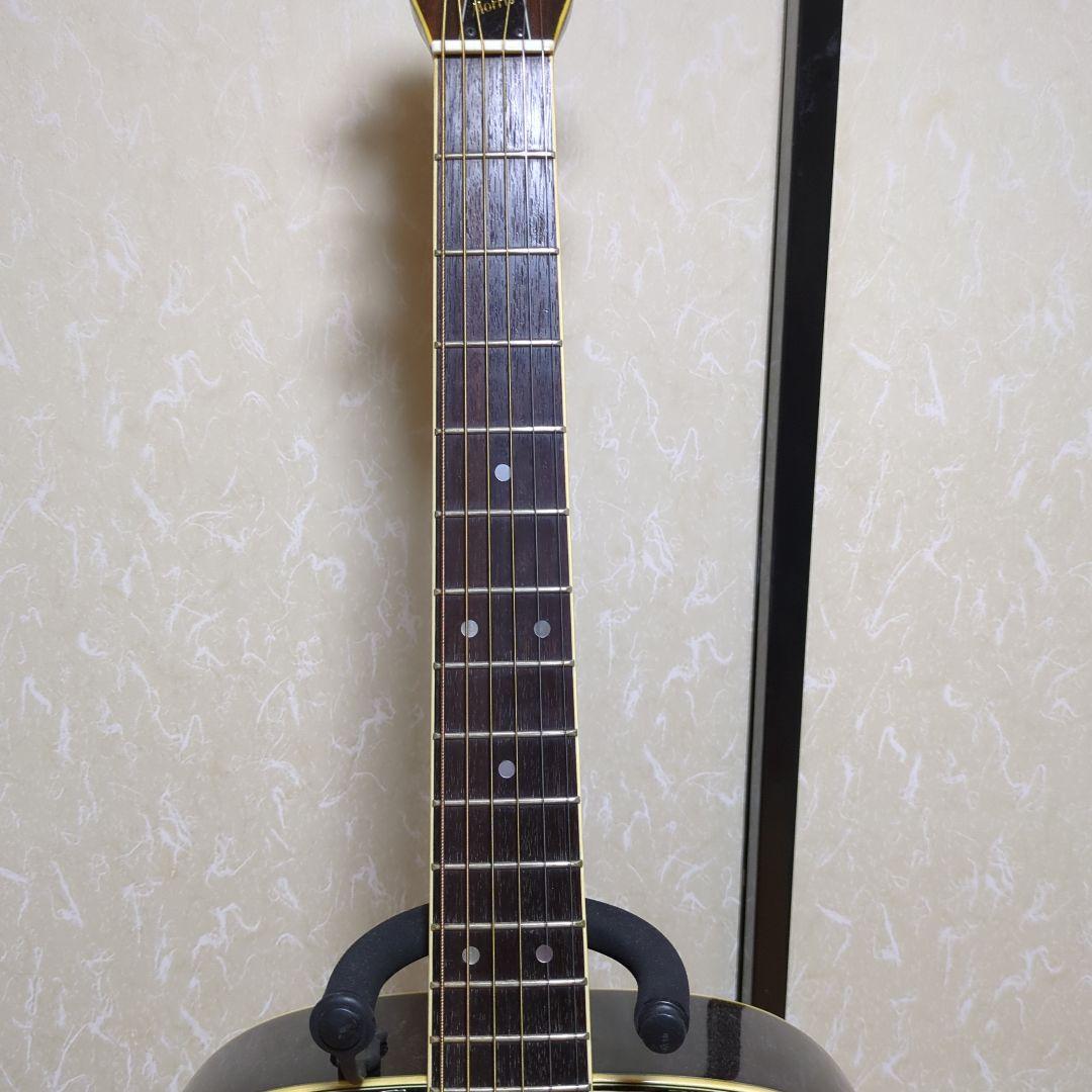 Morris アコースティックギター ドレッドノート エレア