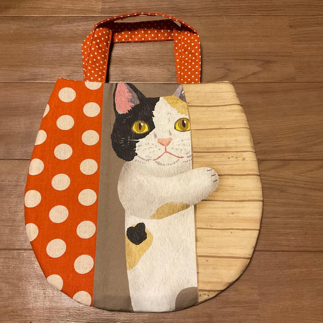 キラキラ⭐️　ひょっこりねこ①
