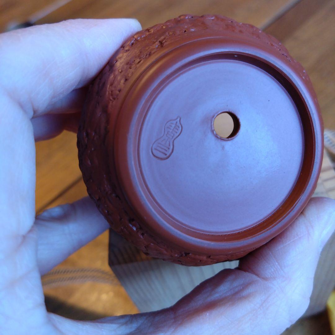 可杯　井上素三作　常滑焼　共箱　共布　しおり付　希少