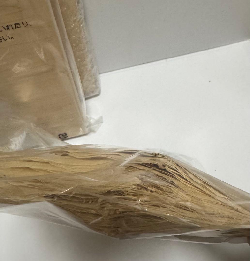 ボタニーペインティング　蓮の葉　インド菩提樹　パネルセット　おまけ付き