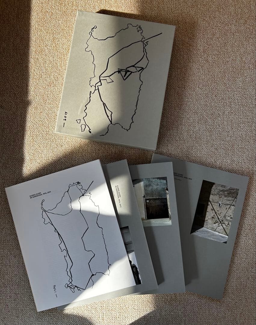 絵画 IN SARDEGNA / Guido Guidi