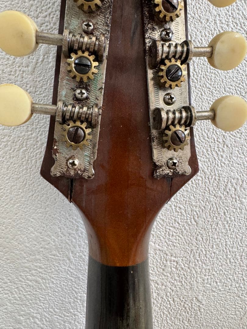 SUZUKI 1963年-木製 8弦