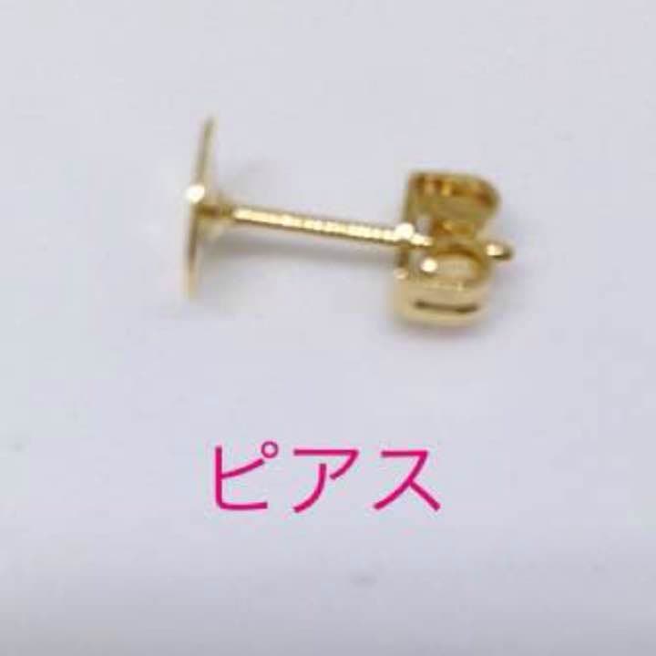 シェルとストーンのearring