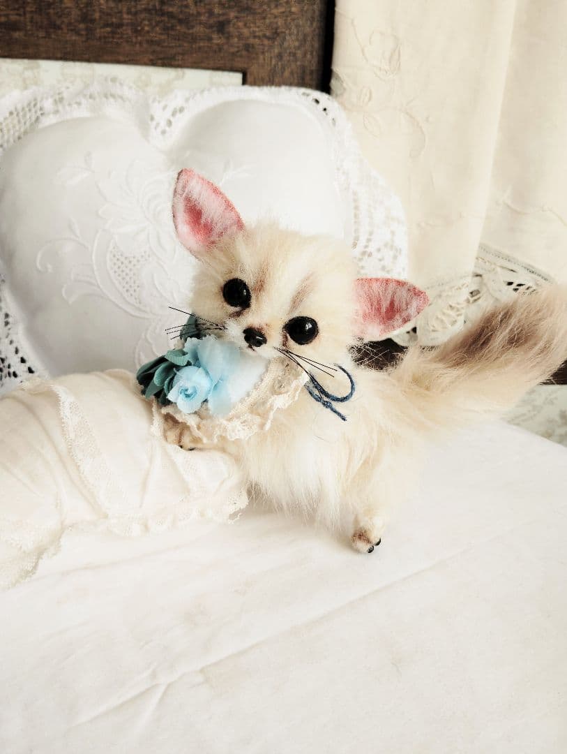 メルモちゃん❤オーダー❤ベビーフェネックちゃん♡お持たせ子猫ちゃん♡