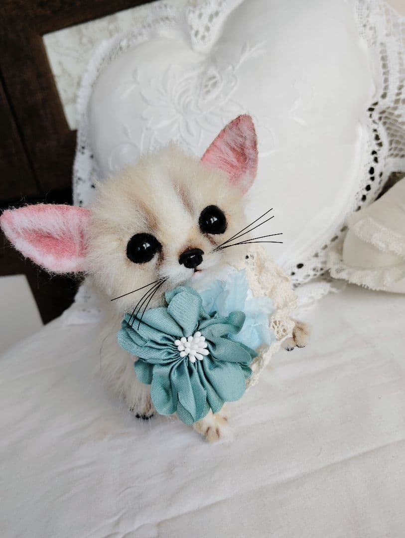 メルモちゃん❤オーダー❤ベビーフェネックちゃん♡お持たせ子猫ちゃん♡