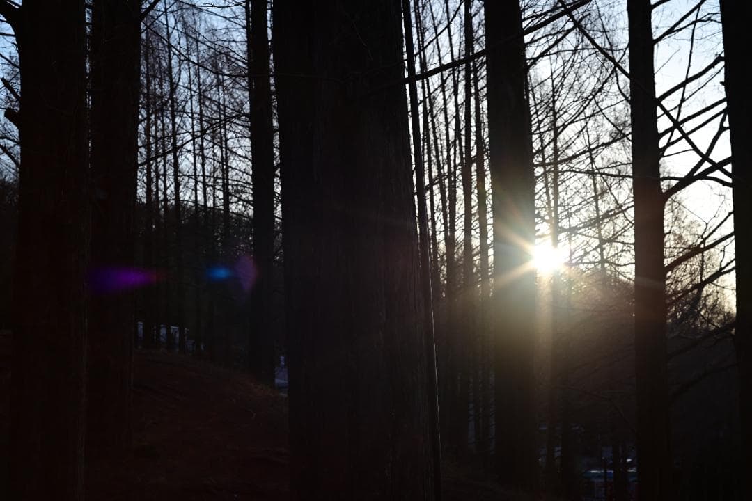 極上無傷 ミノルタ MC ROKKOR-PF 55/1.7 整備済 完動品 完璧