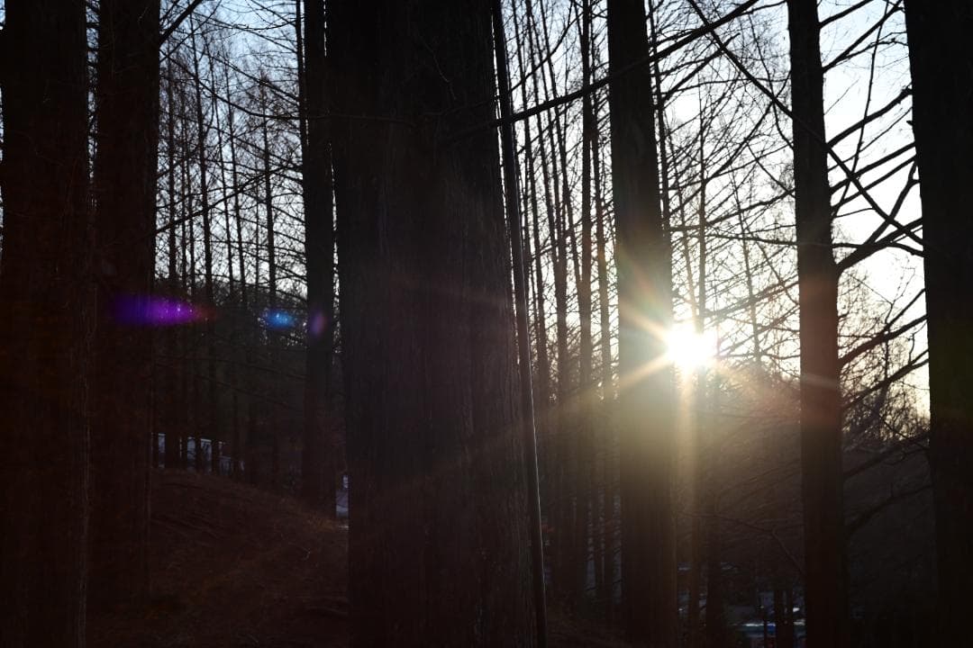 極上無傷 ミノルタ MC ROKKOR-PF 55/1.7 整備済 完動品 完璧