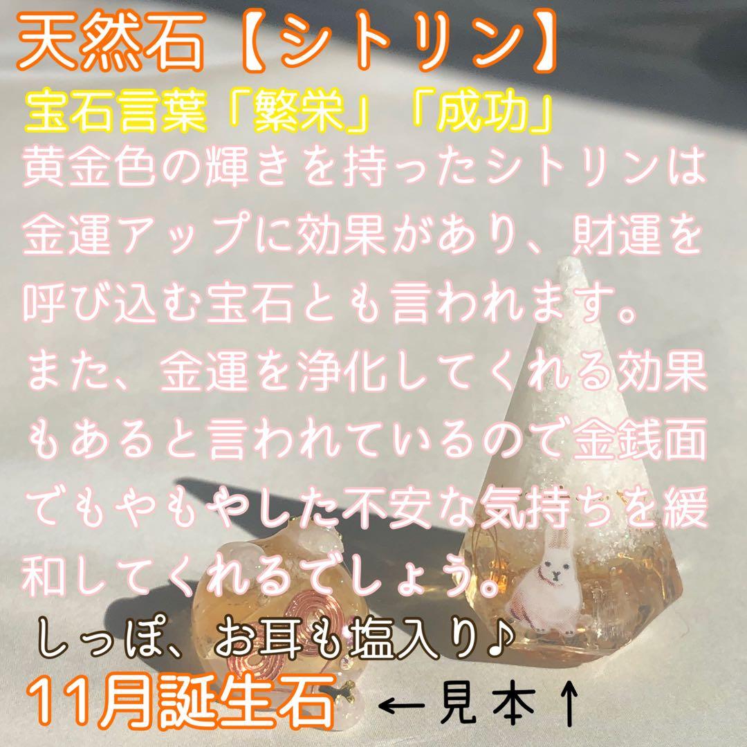 桔梗 サマ♡7点‪☆4/10