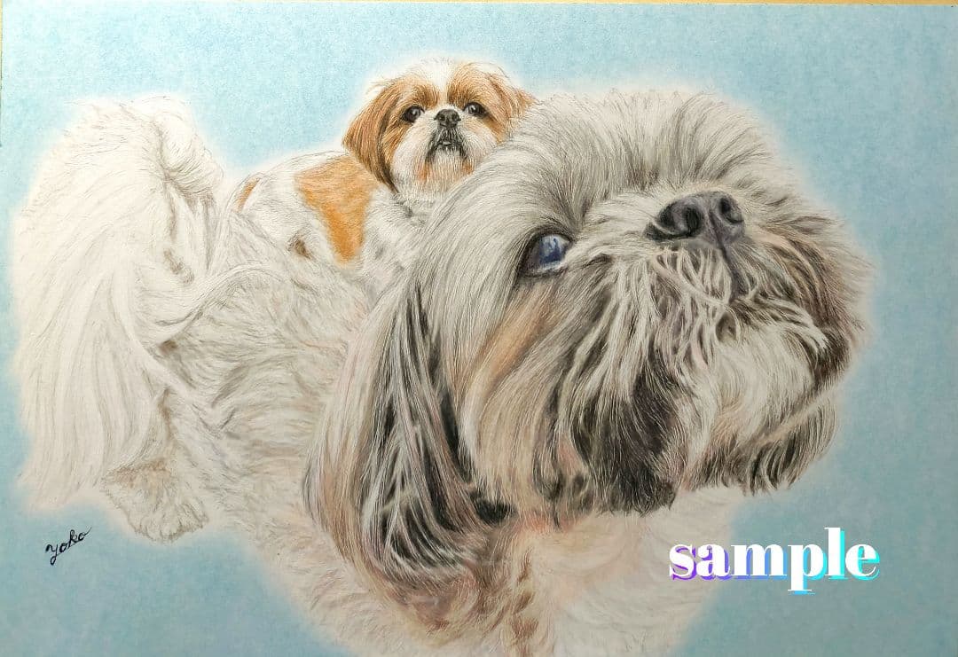 色鉛筆画✭愛猫愛犬✭ペット似顔絵　肖像画　イラスト　注文オーダー　受付ページ 2