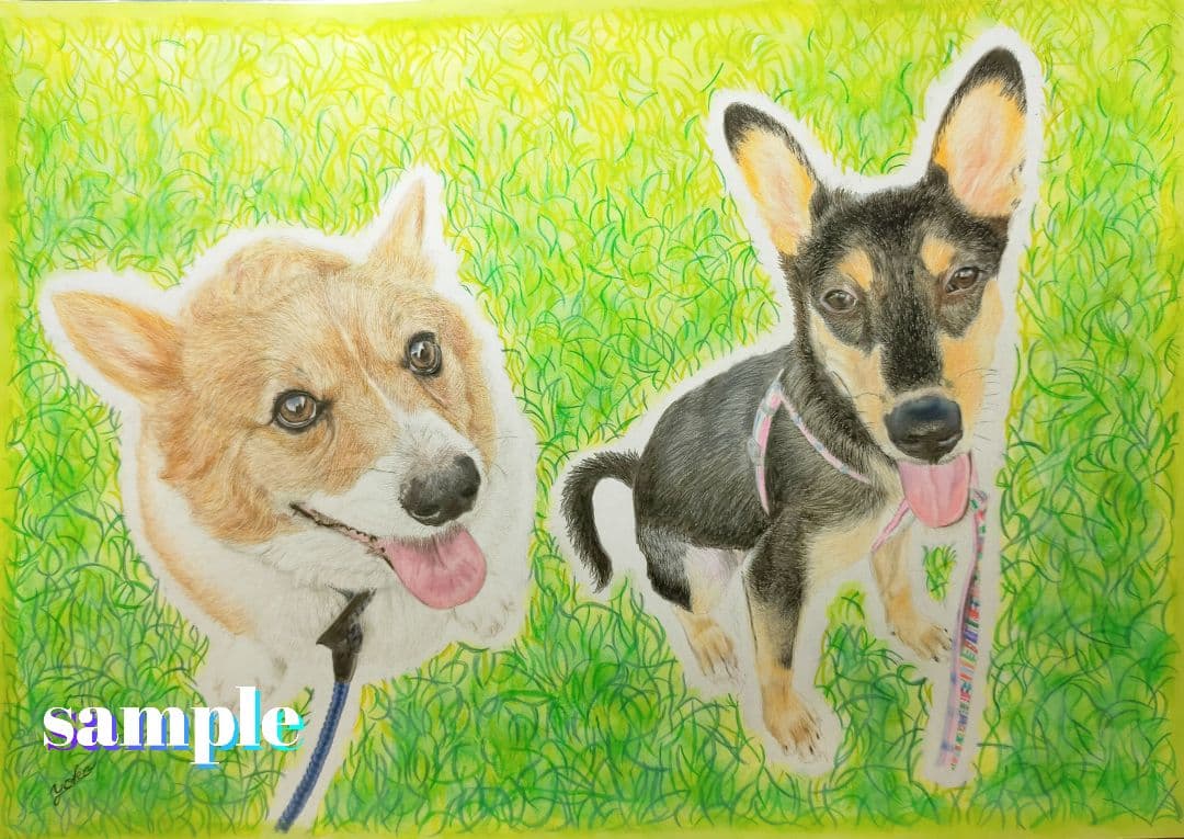 色鉛筆画✭愛猫愛犬✭ペット似顔絵　肖像画　イラスト　注文オーダー　受付ページ 2