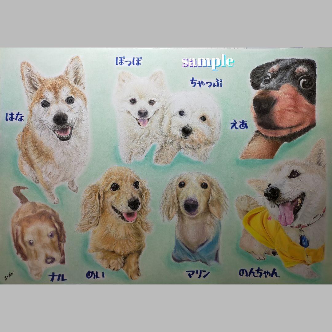 色鉛筆画✭愛猫愛犬✭ペット似顔絵　肖像画　イラスト　注文オーダー　受付ページ 2