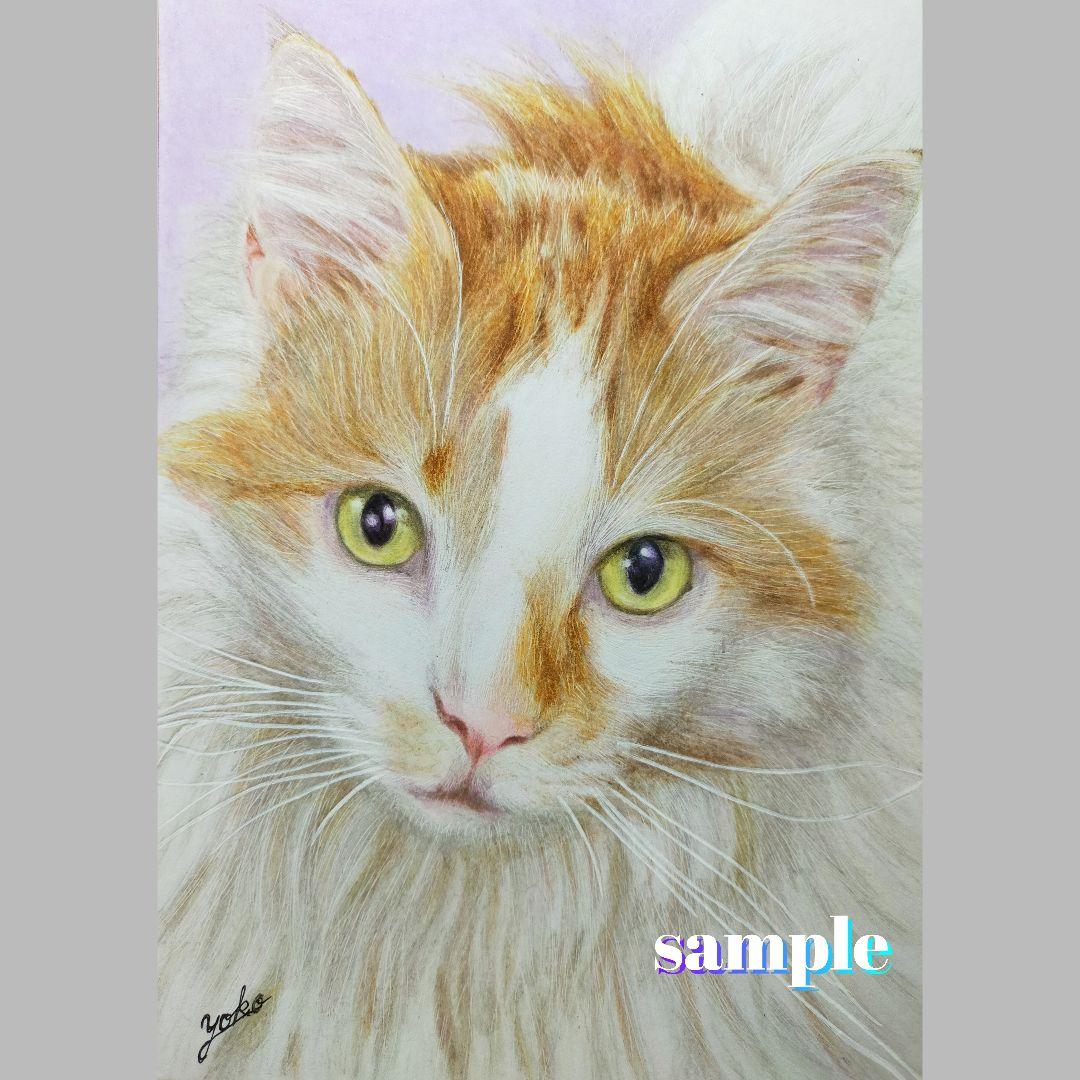 色鉛筆画✭愛猫愛犬✭ペット似顔絵　肖像画　イラスト　注文オーダー　受付ページ 2