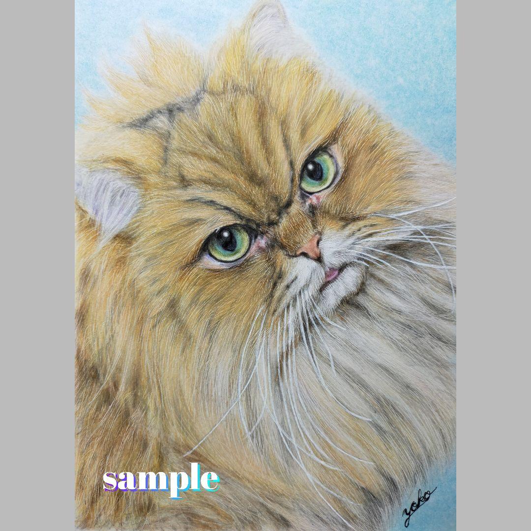 色鉛筆画✭愛猫愛犬✭ペット似顔絵　肖像画　イラスト　注文オーダー　受付ページ 2