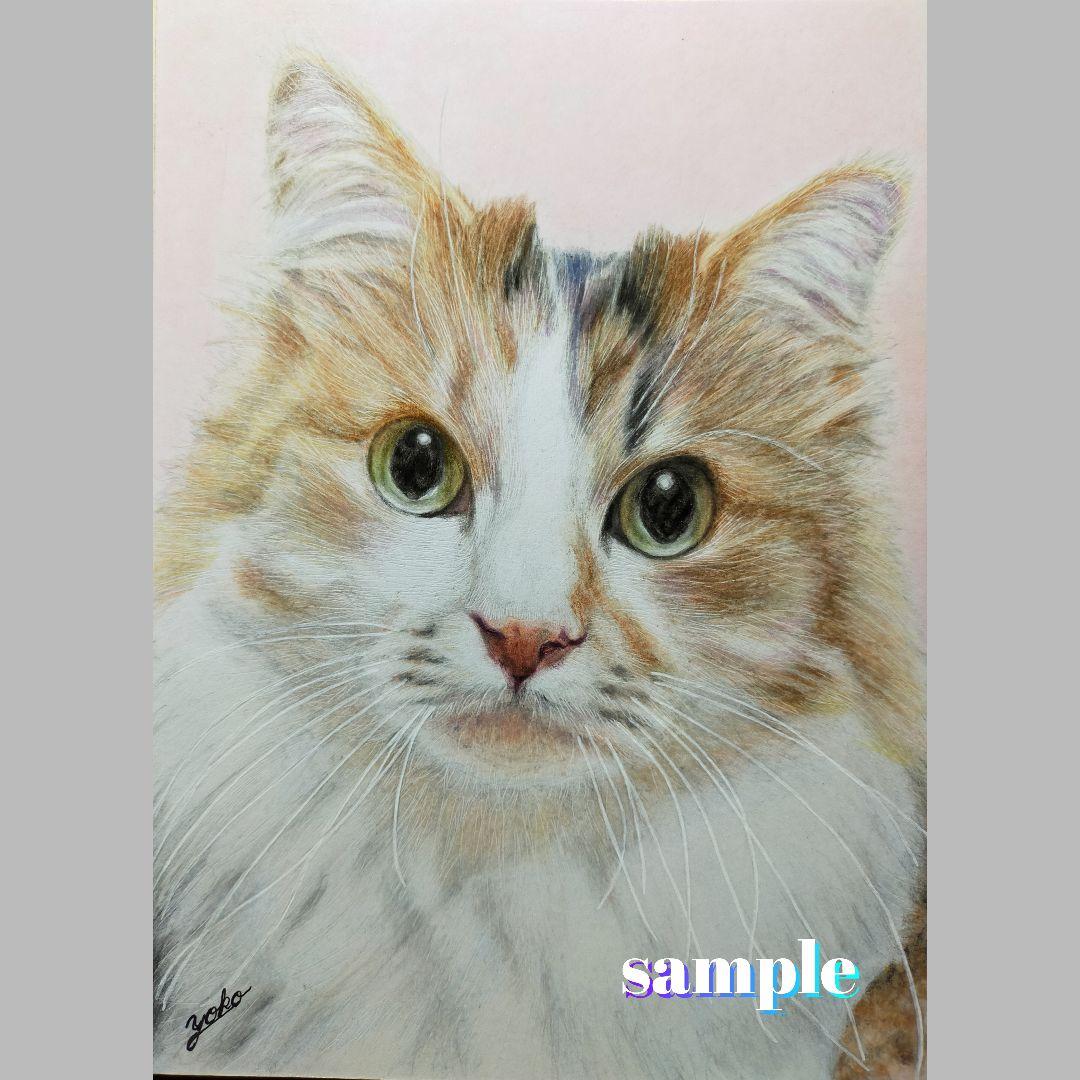 色鉛筆画✭愛猫愛犬✭ペット似顔絵　肖像画　イラスト　注文オーダー　受付ページ 2
