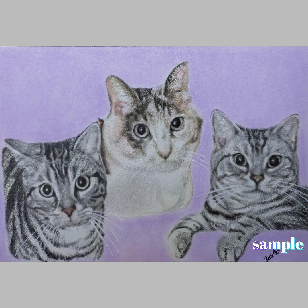 色鉛筆画✭愛猫愛犬✭ペット似顔絵　肖像画　イラスト　注文オーダー　受付ページ 2