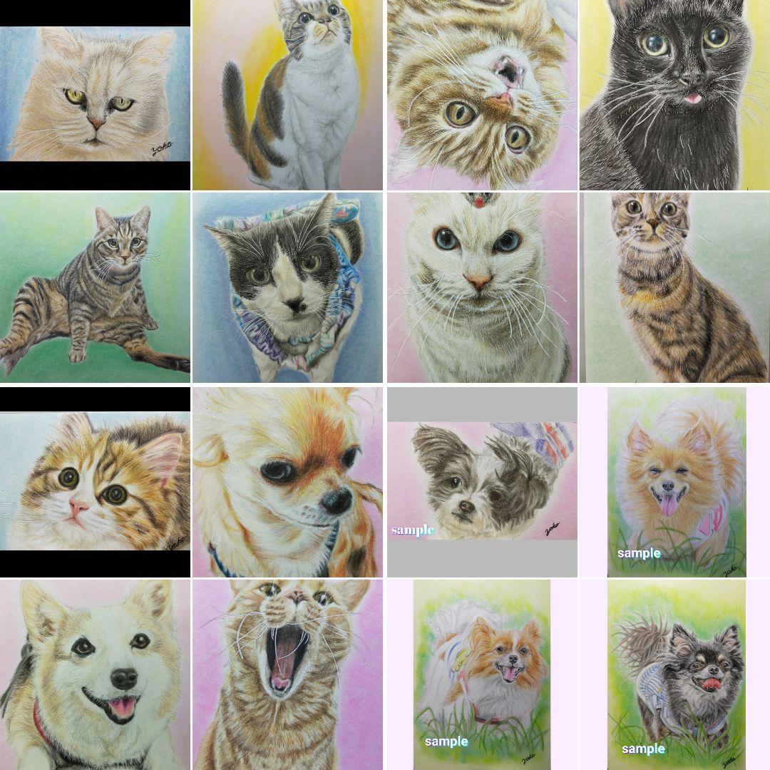 色鉛筆画✭愛猫愛犬✭ペット似顔絵　肖像画　イラスト　注文オーダー　受付ページ 2