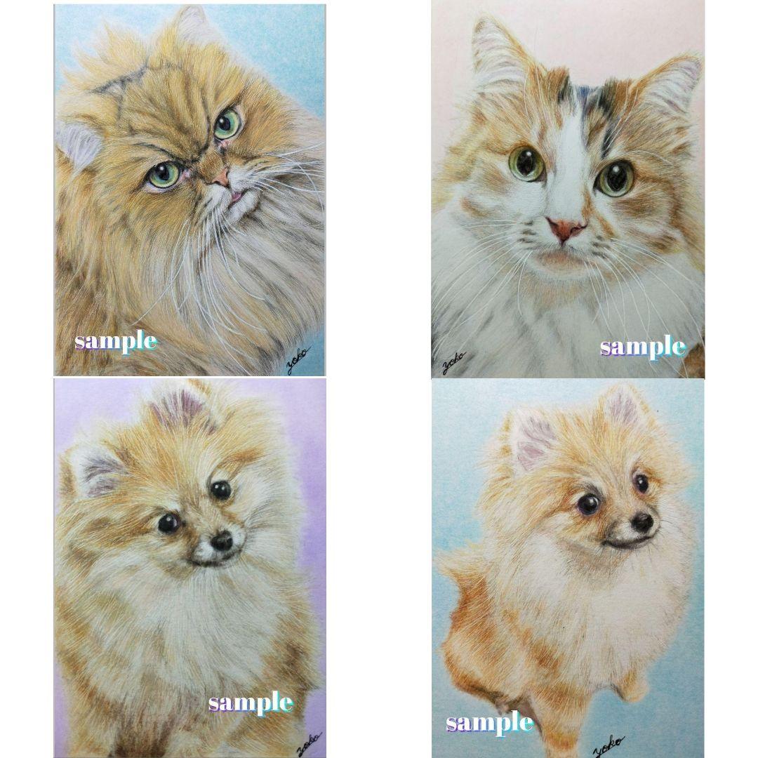 色鉛筆画✭愛猫愛犬✭ペット似顔絵　肖像画　イラスト　注文オーダー　受付ページ 2