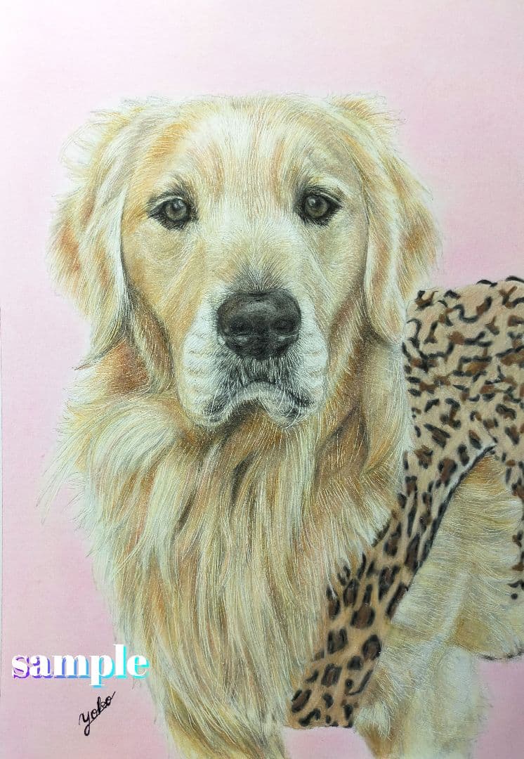色鉛筆画✭愛猫愛犬✭ペット似顔絵　肖像画　イラスト　注文オーダー　受付ページ 2