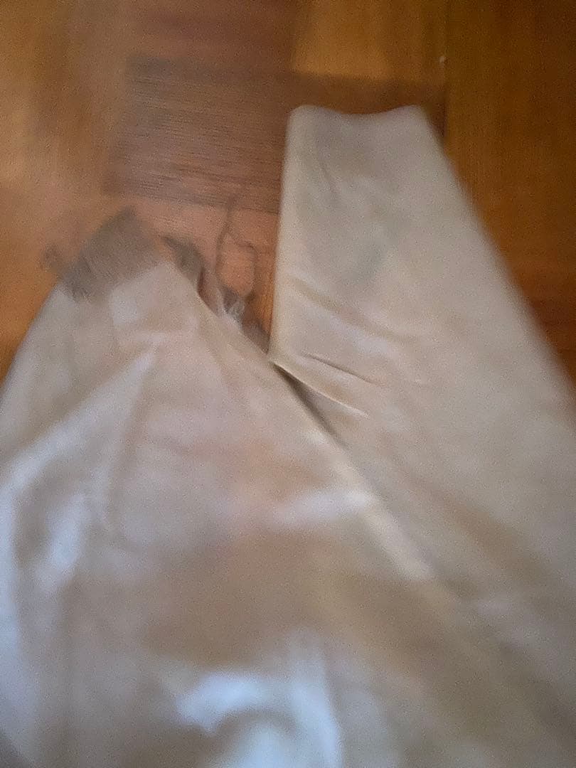 こいのぼり10m黄金三点セット