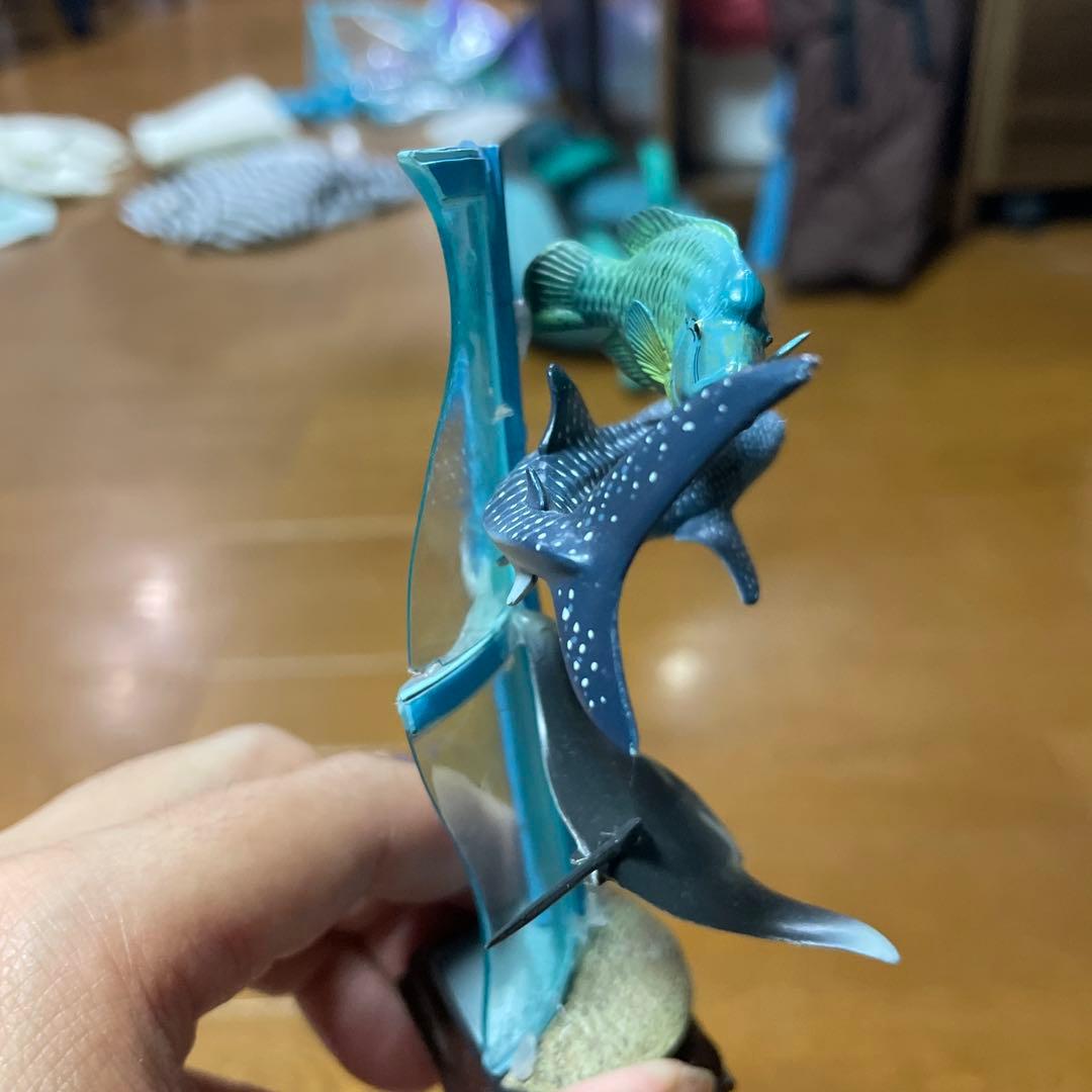 【海遊館限定】　海遊館ガチャガチャ　オニイトマキエイ　アオウミガメ