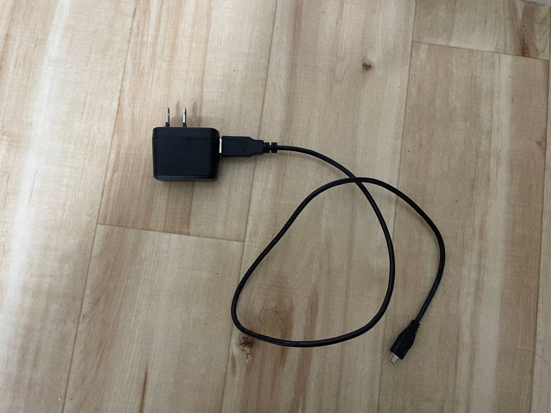 パナソニック ミラーレス一眼カメラ ルミックス GF10