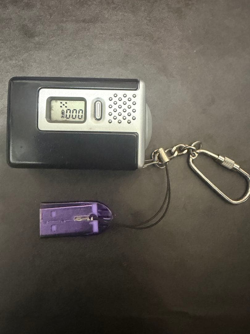 VISTAQUEST VQ100S コンパクトデジタルカメラ