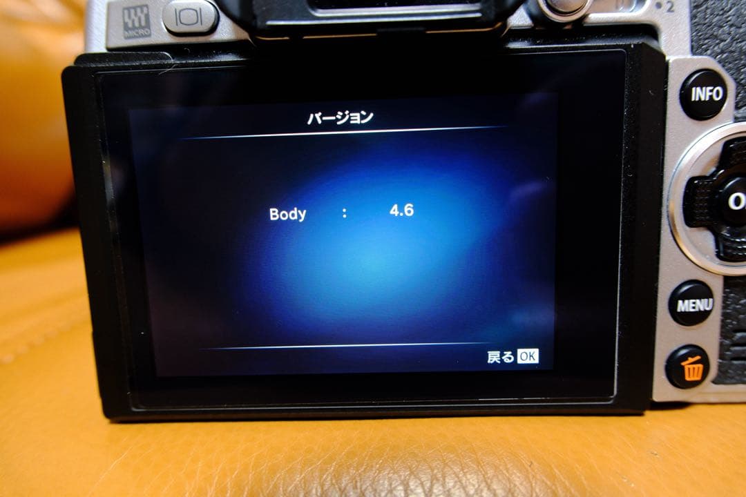 【極美品・1,598枚】OLYMPUS OM-D E-M1 シルバー 付属品多数
