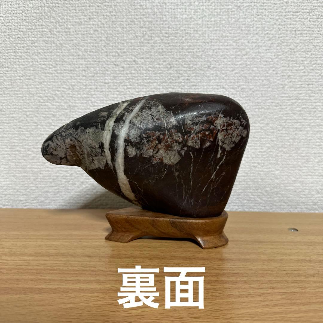 菊花石　桜