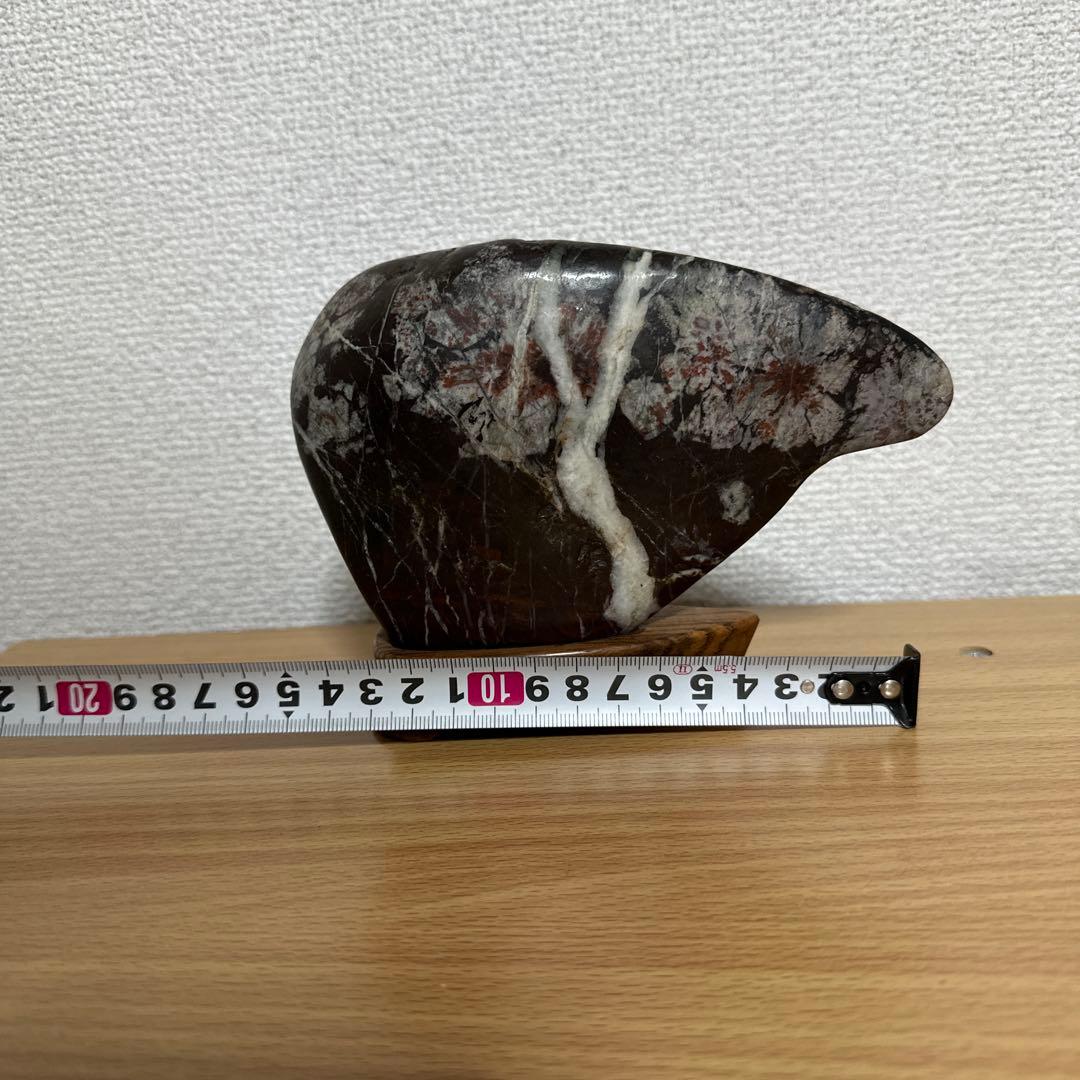 菊花石　桜