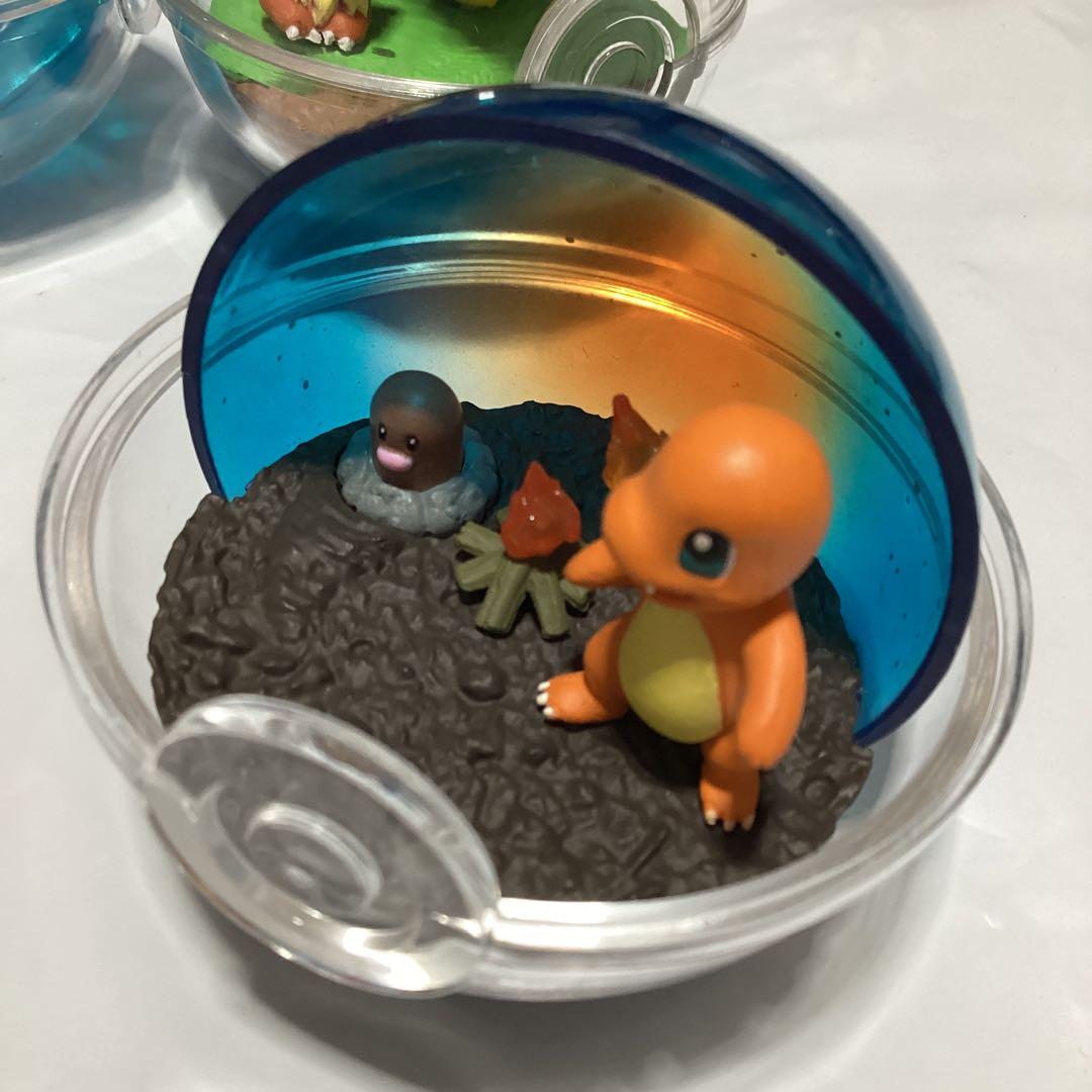 ポケモン テラリウム　コレクション