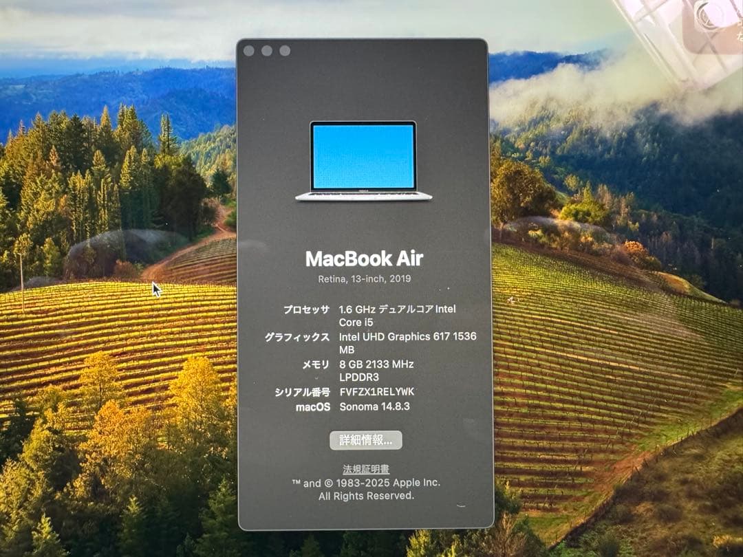 Macbook Air 2019 シルバー 8GB