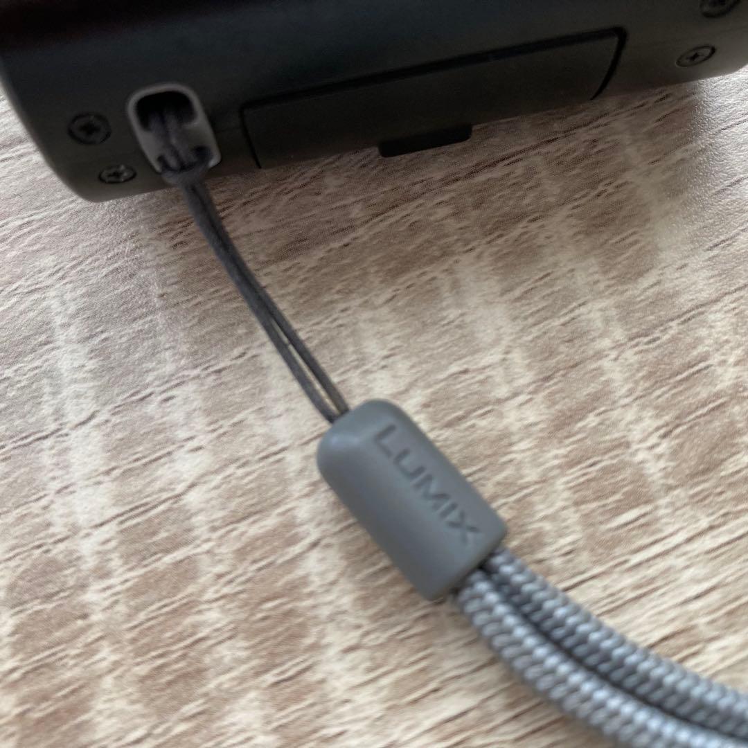 Panasonic　LUMIX DMC-TZ 10デジカメ　ブラック